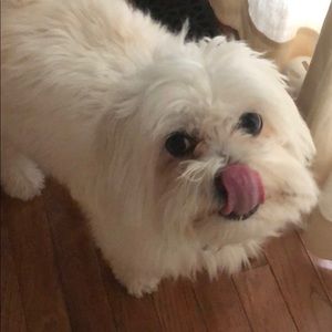 Meet your Posher, Kelley